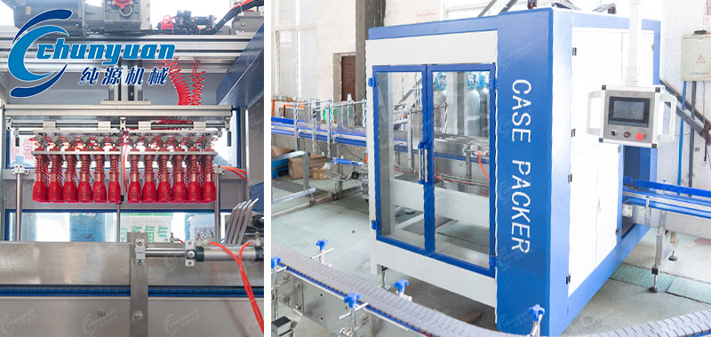 自動抓取式裝箱機(jī)-2