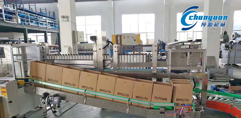 裝箱機，挑選裝箱機，純源裝箱機，純源機械